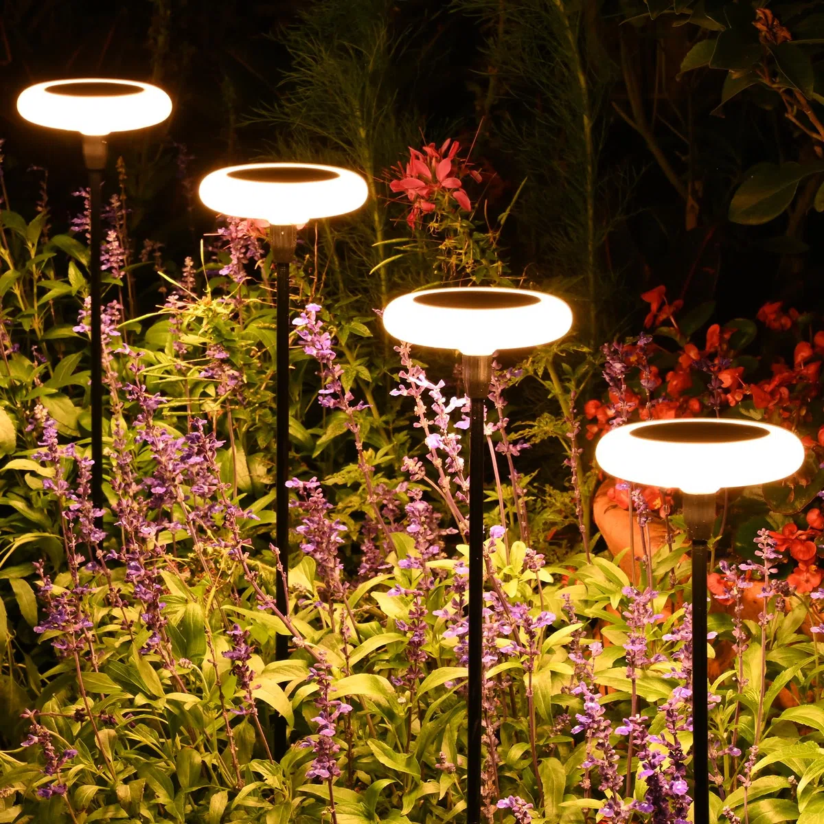 Luci Solari da Giardino 4 Pezzi Luci Solari Esterno Bianco Caldo lampada da giardino solare da esterno IP65 Impermeabie con Luci da giardino extra luminose da 34 lumen per Cortile Vialetto