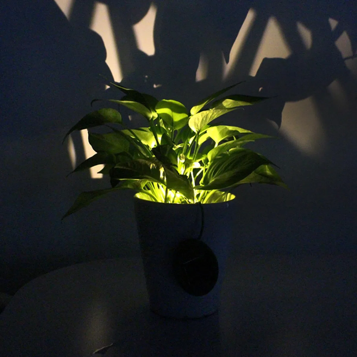 Qianly 2 Luci a Energia Solare per La Decorazione Del Giardino