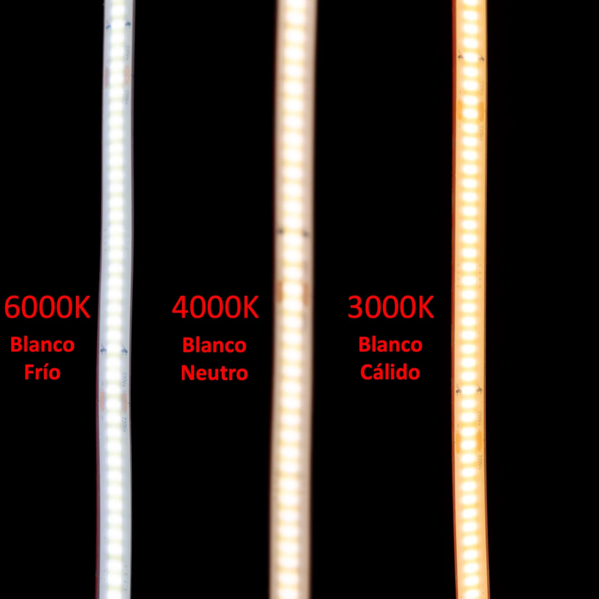 Striscia LED COB 220v ALTA LUMINOSITÀ, Adesivo e INTERRUTTORE. IMPERMEABILE Bianco Freddo/Neutro/Caldo Waterproof IP67 strip (Bianco Caldo, 2M)