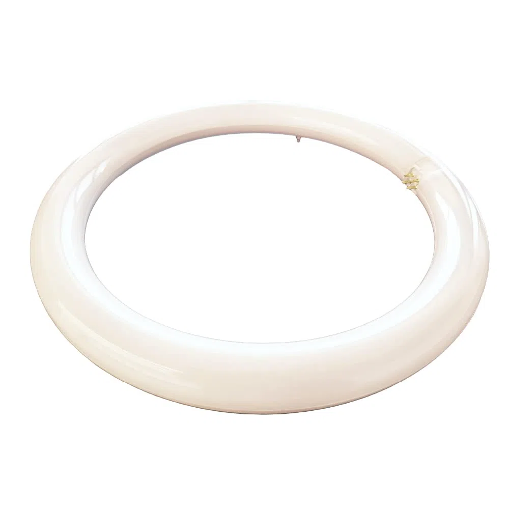 Circolina Led Consumo 19W Corrispondenza 120W diametro 30cm 1950LM Lumen Luce Bianco Naturale 4000k Calda 3000k Fredda 6500k Attacco G10Q T9 (Luce Naturale 4000k)