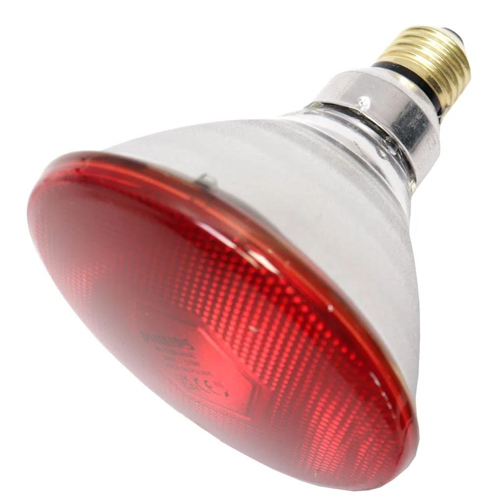 PAR38 IR 175W E27 230V Red 1CT/12