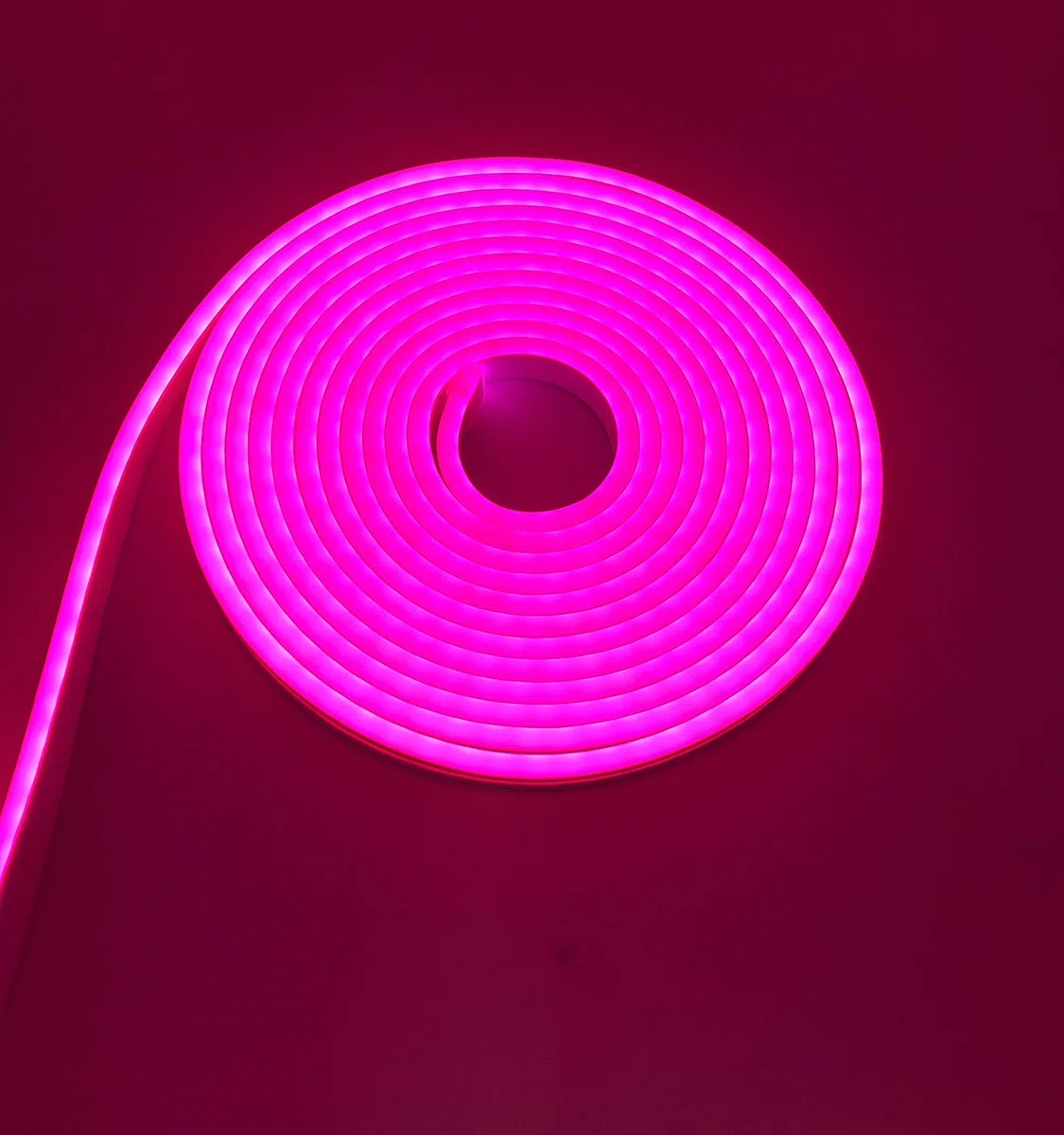 Striscia LED Neon Flessibile Impermeabile IP65 5 Metri 120 led/m 12V Pink