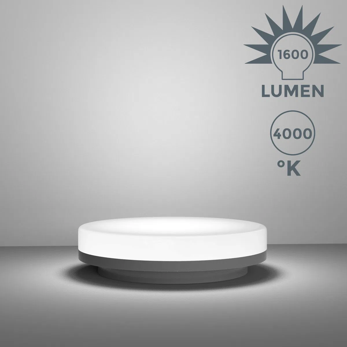 B.K.Licht Plafoniera LED, lampadario bagno a luce bianca naturale 4000K, 13W, 1600 Lm, lampada da soffitto resistente agli schizzi d'acqua IP54, plafoniera diametro 22cm, plastica, 230V