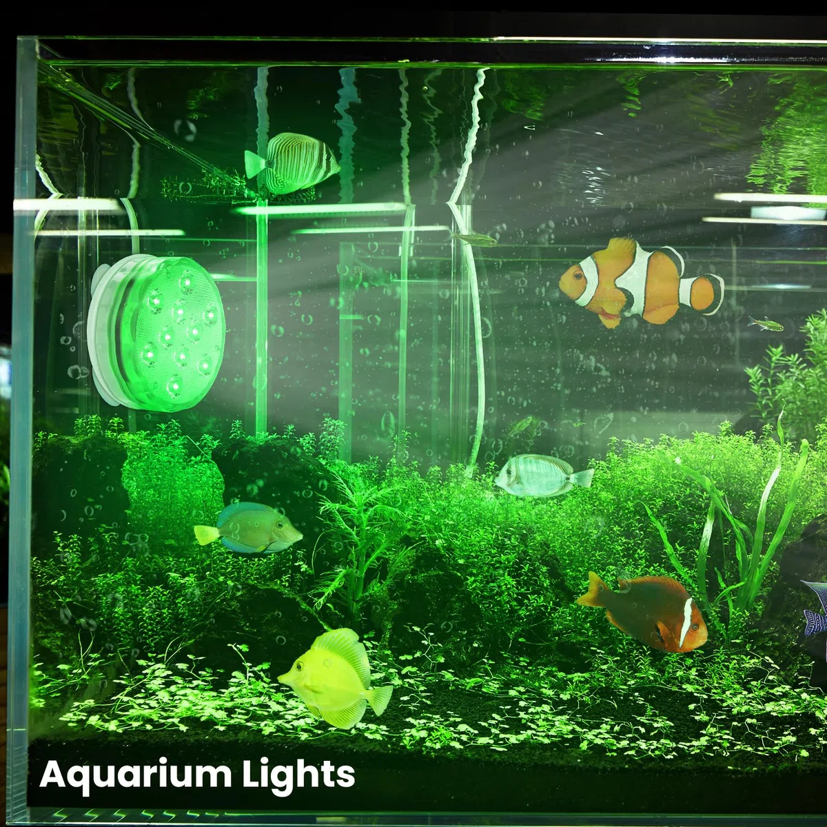 Idealife Luci per Piscina, Ricaricabile Luci Subacquee LED, Completamente Sigillata Impermeabile IPX8 Sommergibile Luce LED Adatta per Piscina Festa Cerimonia Nuziale Halloween Fish Tank(1 Pc)