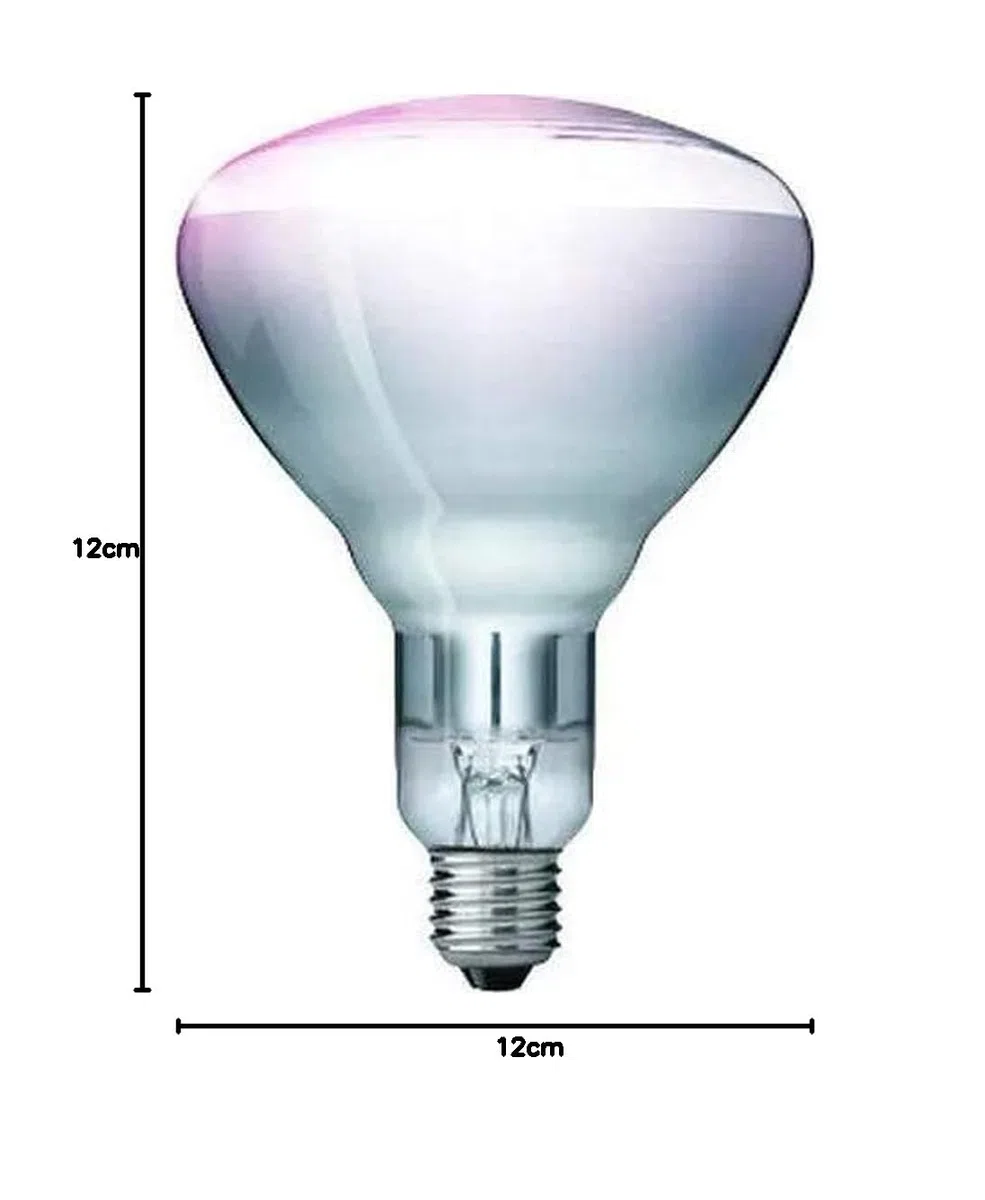 Lampada infrarossi Philips 250 Watt trasparente