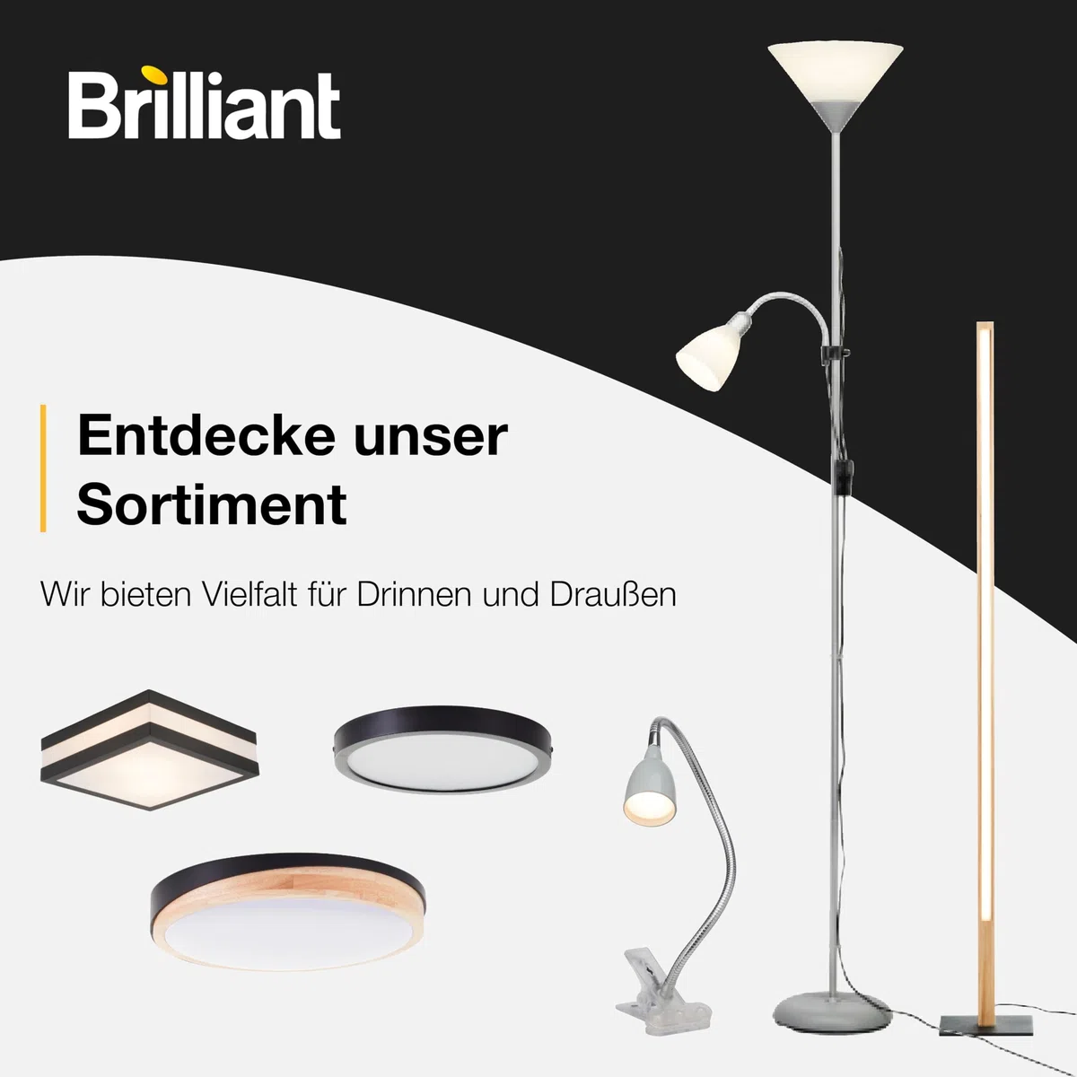 Brilliant Hobby - Lampada da scrivania con morsetto, 10802 / 11, colore titanio