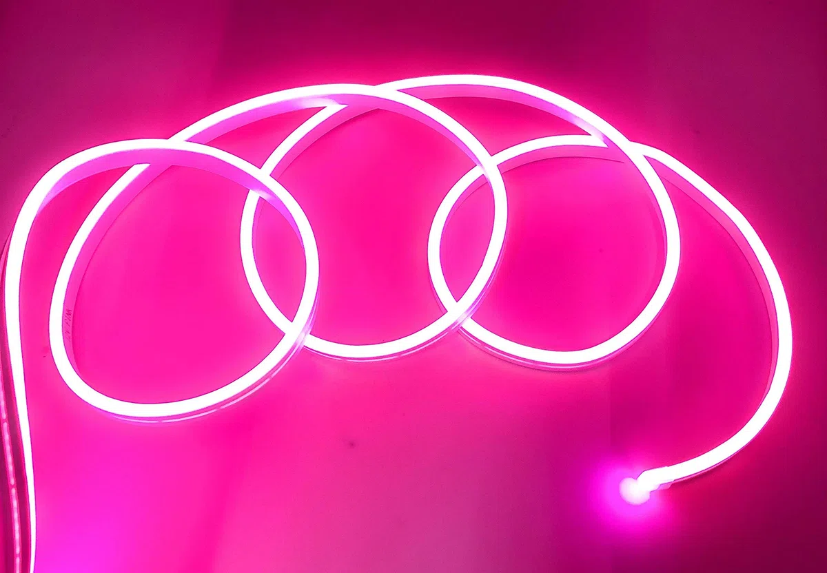 Striscia LED Neon Flessibile Impermeabile IP65 5 Metri 120 led/m 12V Pink
