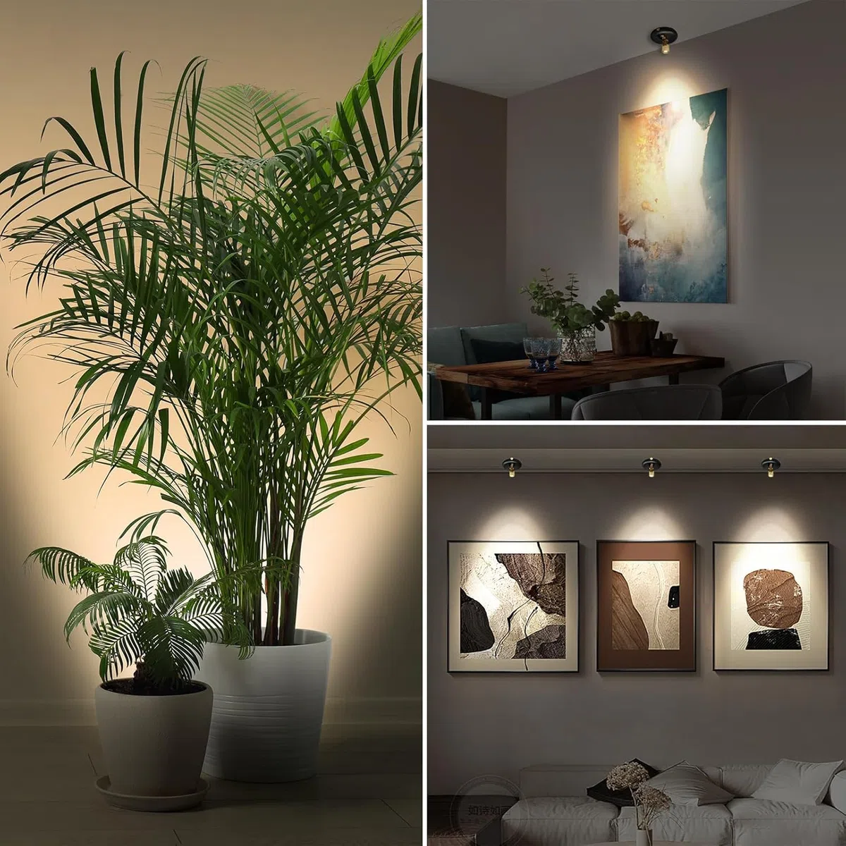 Foco per piante da interno, funziona a batteria, luci da parete decorative, punto di accento artistico, luci da parete wireless con timer remoto e regolabile, luce ascendente