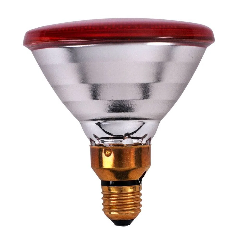 Lampada Infrarossi Philips 175 W – Riscaldamento Rapido – Pollai, Stalle, Cuccioli, Fisioterapia – Attacco E27 240V, Lunga Durata