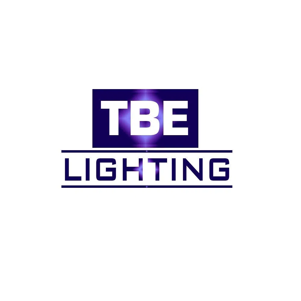 TBE Lighting, Lampadine CFL a risparmio energetico, 16 W 2D, 4 pin, lampadine fluorescenti DD, attacco GR10q da 4 pin, a lunga durata, colore: bianco freddo, 3500 K, Vetro, Confezione da 4, GR10q