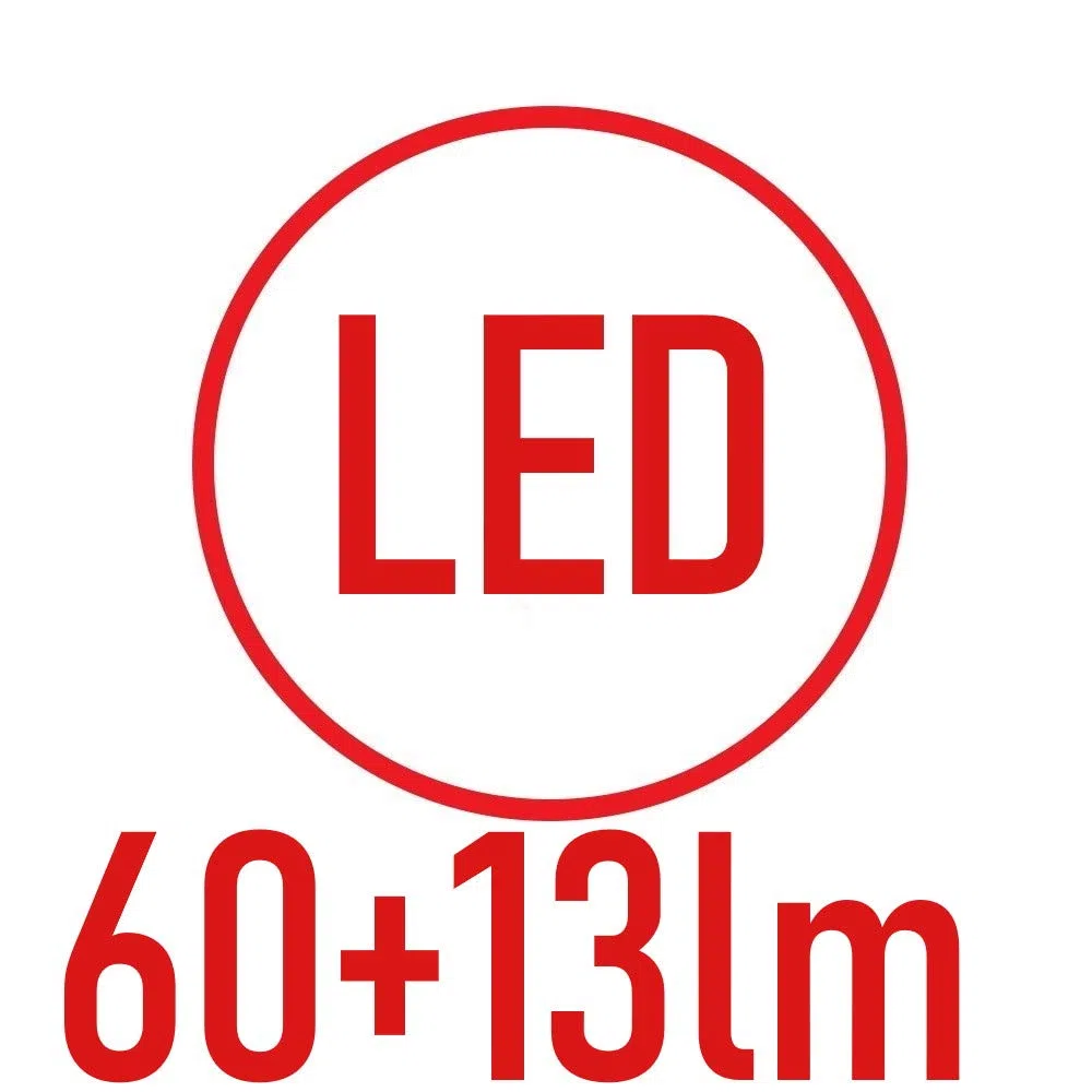 POLY POOL - PP0765 Lampada di Emergenza Portatile Ricaricabile 21 LED - Luce emergenza 3 Funzioni con Cavo 1m e Spina 10A - Lampada Emergenza Portatile con Manico 60+13lm - Luce Emergenza da Presa
