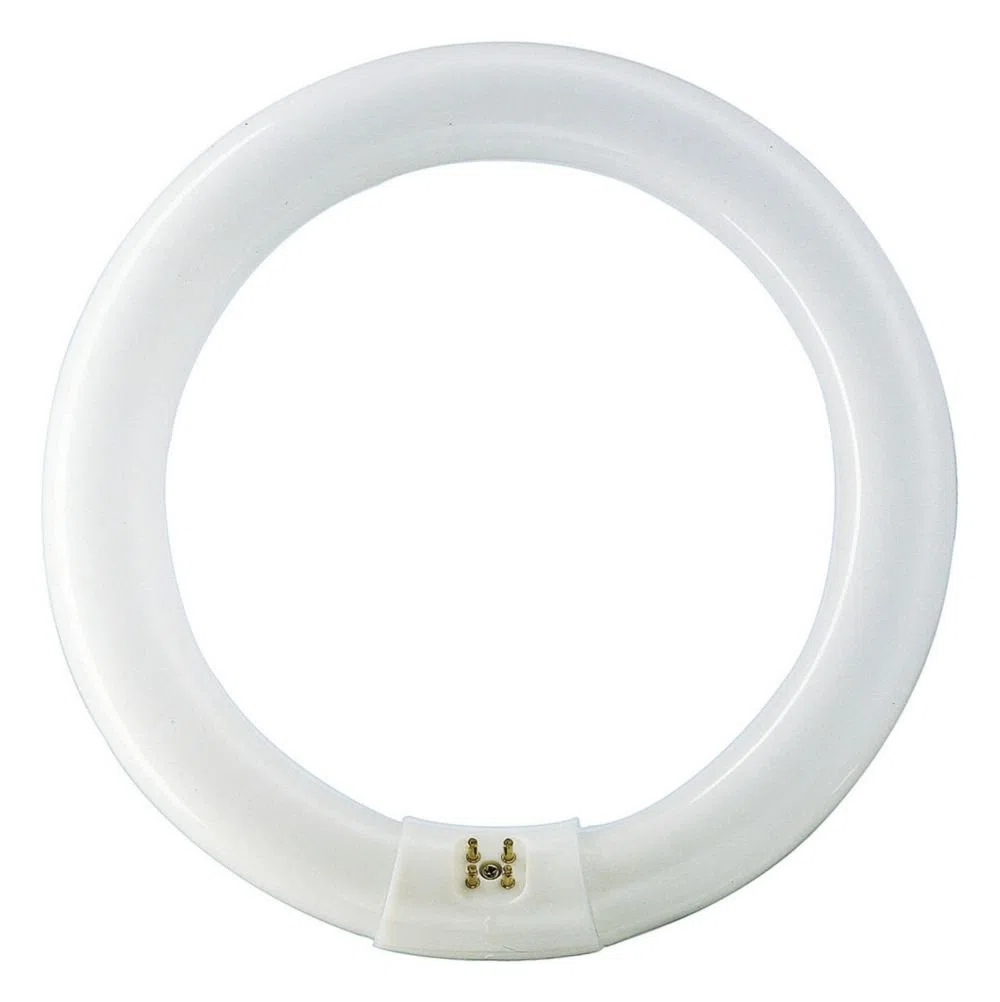 Philips Master TL-E - Lampadina Circolare G10Q 32W/840, Luce Naturale