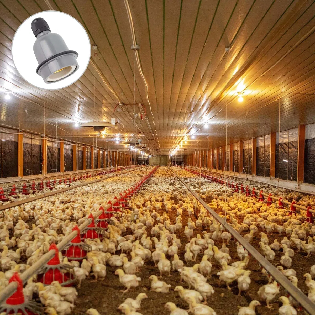 4 pezzi PortalampadaE27 perlampadine, Portalampade, AttaccoE27, PortalampadaE27 a vite, PortalampadaE27 Porta, PortalampadaE27, impermeabile, isolato termicamente, interfaccia standard E27