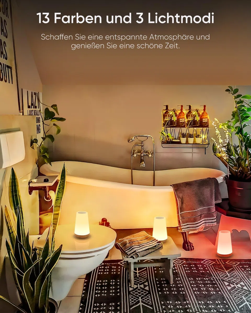 Bonsery Set di 2 lampade da comodino LED Touch dimmerabile USB ricaricabile con telecomando, luce notturna per bambini con 13 colori, 3 modalità, lampada da tavolo senza fili con timer per camera da